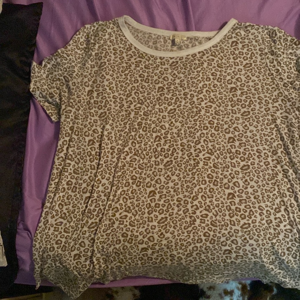 Leopard Kori America xl